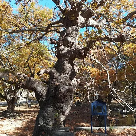 Vakantiehuis Agapi's House