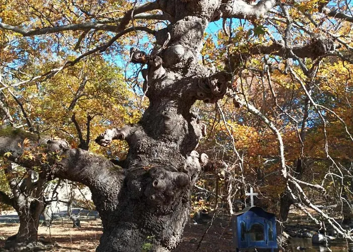 Сasa de vacaciones Agapi's House